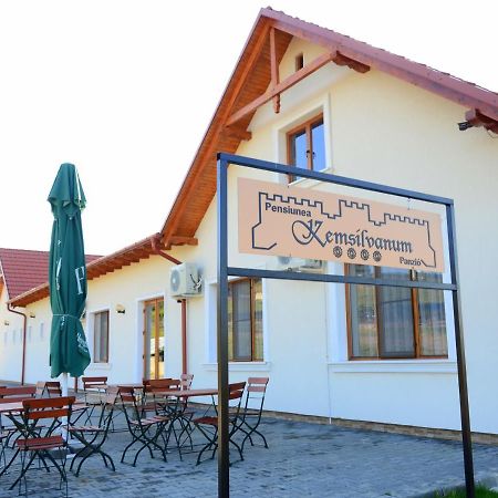 Pensiunea Kemsilvanum Fort Silvan Camar Экстерьер фото