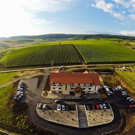 Pensiunea Kemsilvanum Fort Silvan Camar Экстерьер фото