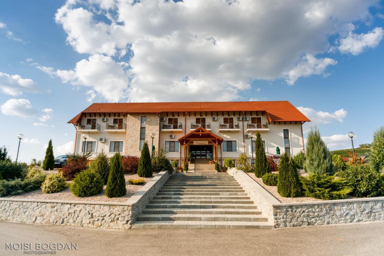 Pensiunea Kemsilvanum Fort Silvan Camar Экстерьер фото