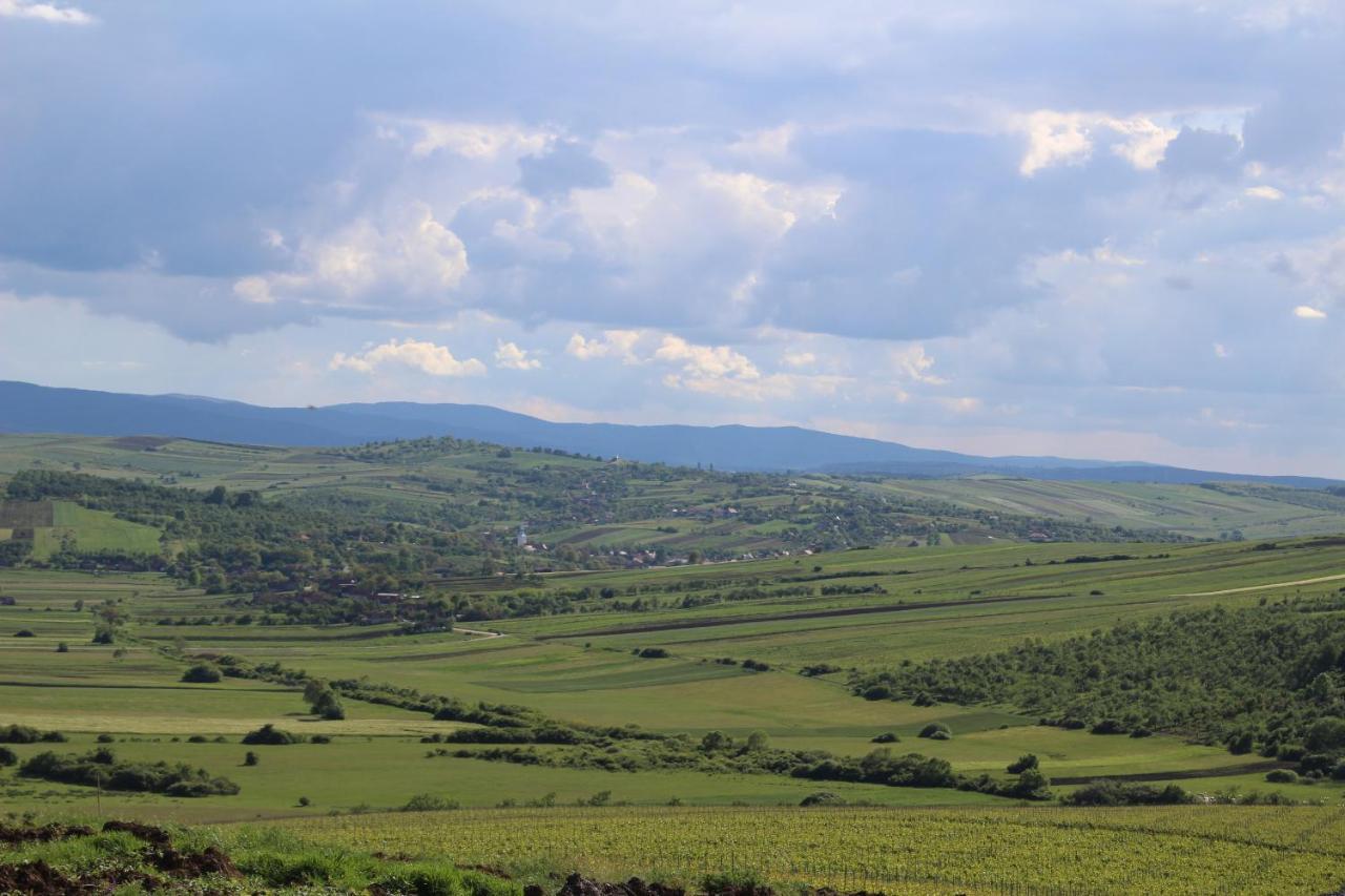 Pensiunea Kemsilvanum Fort Silvan Camar Экстерьер фото